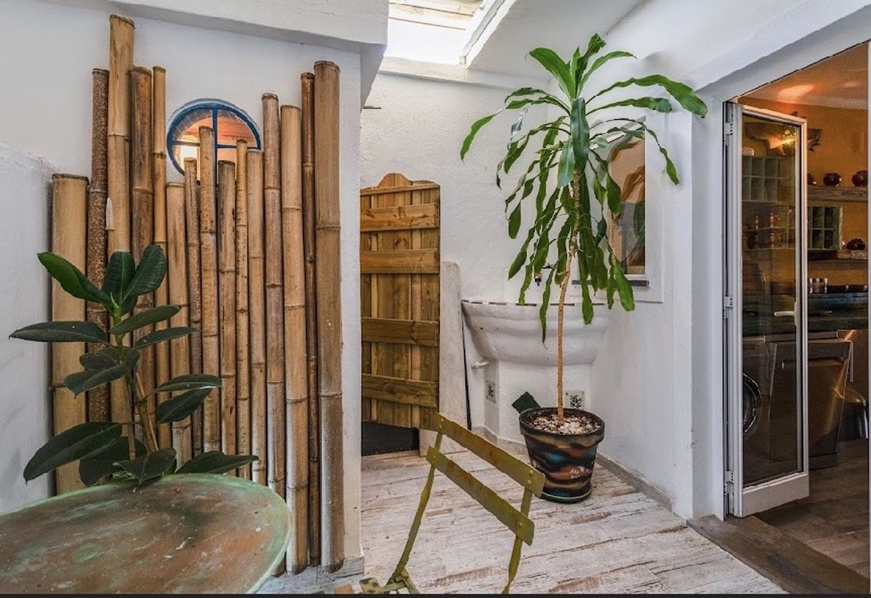 Indoor garden patio with bamboo and tropical plants